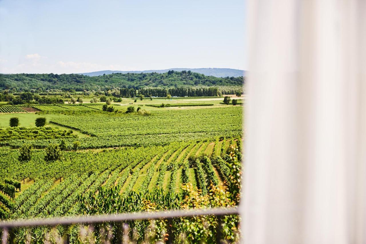 Gredic - Romantic Vineyard Escape Hotel Dobrovo