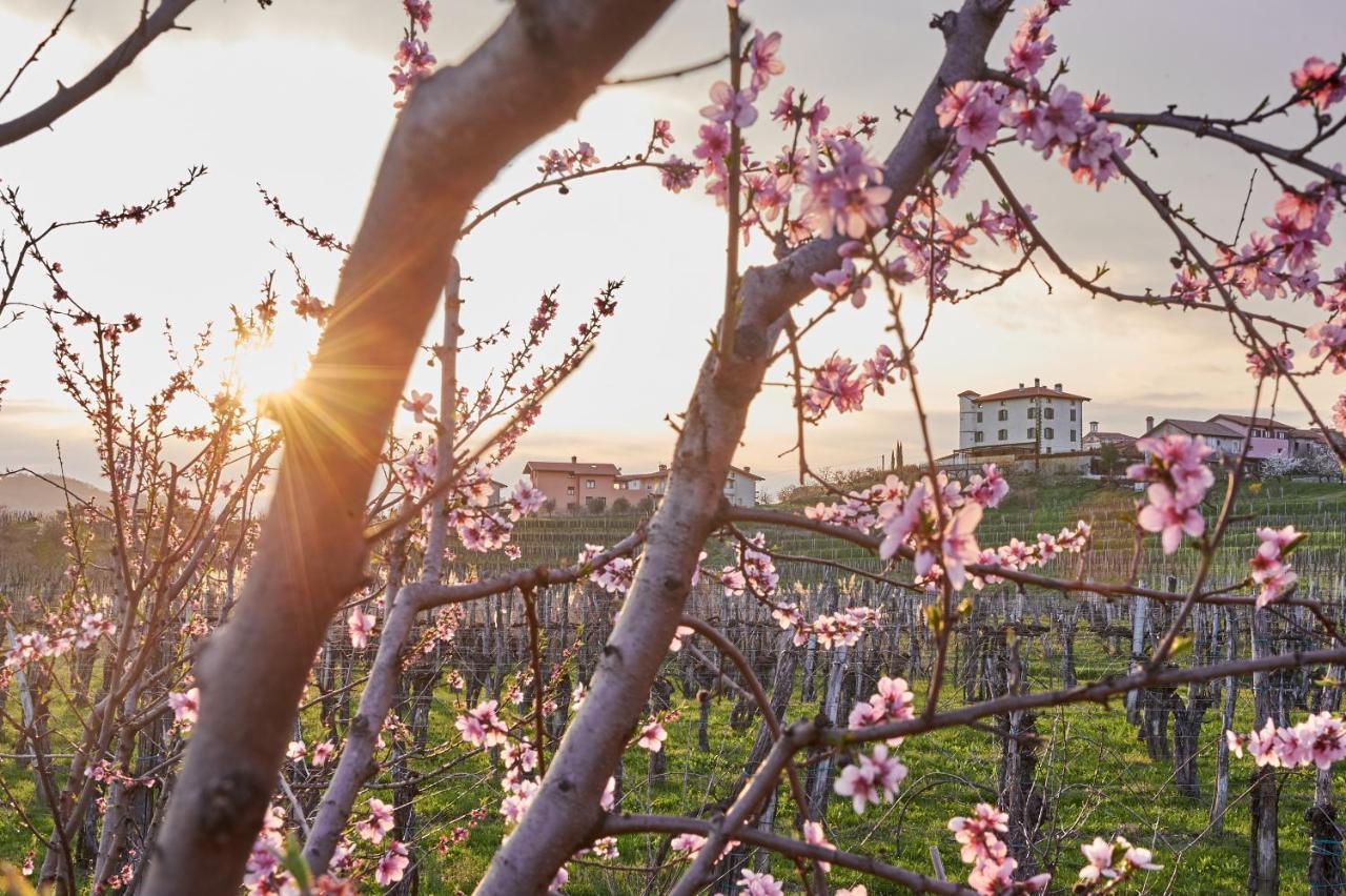 Gredic - Romantic Vineyard Escape Hotel