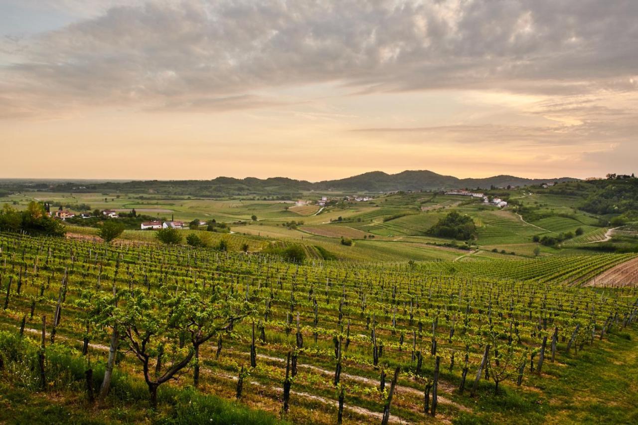 Hotel Gredic - Romantic Vineyard Escape